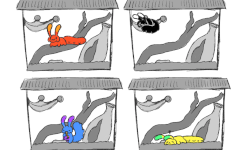 Invertipets